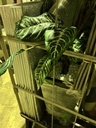 LINE_ALBUM_1125 INO 10点_241127_21.jpg