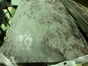 IMG_0570.jpeg