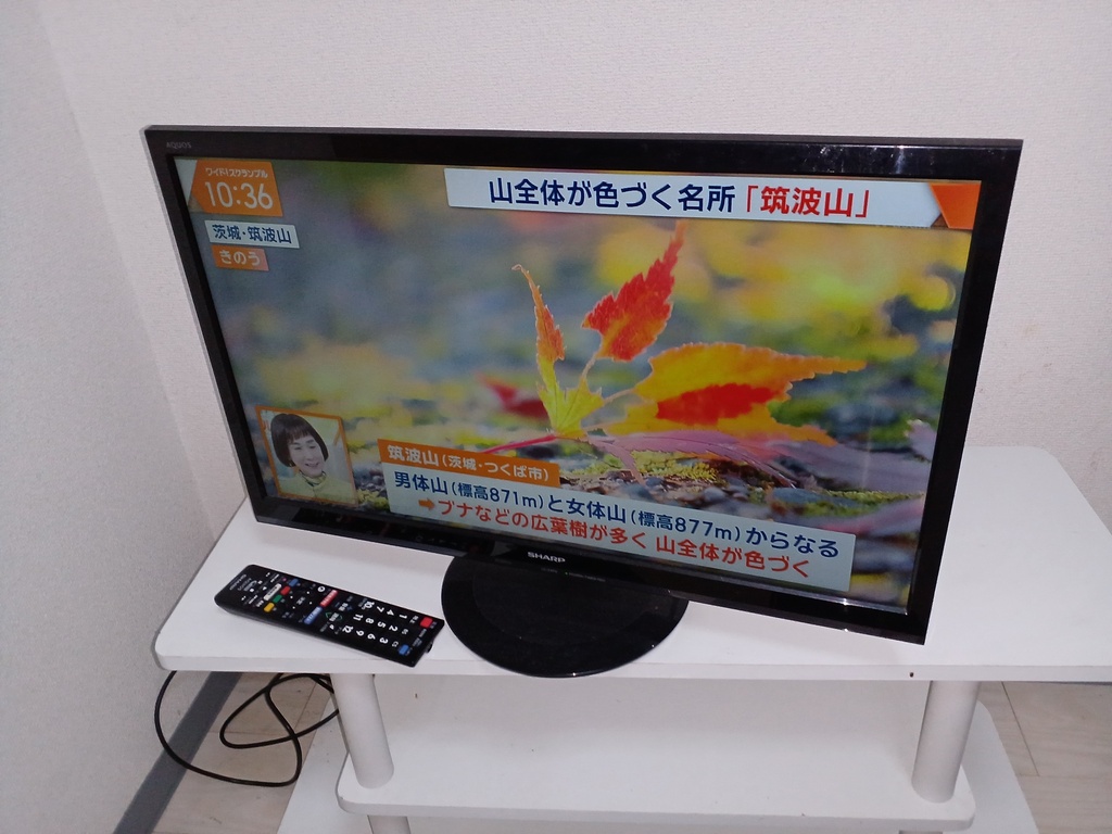 小家電4点まとめ（液晶テレビ シャープ LC-24P5 2017 3B　レンジ ツインバード DR-LD20 2019 3B　レコーダー パナソニック DMR-BRS500 2015 3B　炊飯器 シャープ KS-CF05A 2019 3C）